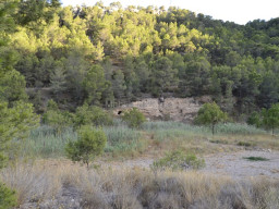 Rambla Perea-Mula 2018